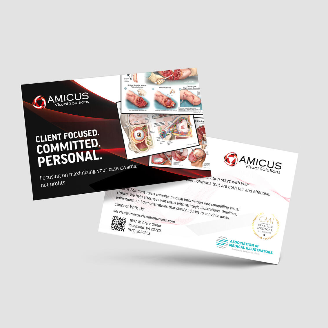 Amicus Visual Solutions